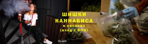 spice Вяземский