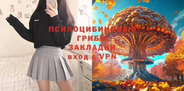 гидра Снежинск